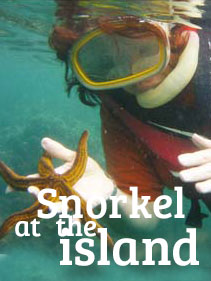 Snorkel at the Island - Xtreme Panama